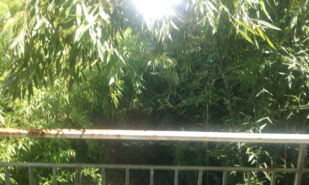 Couffy Le Moulin Du Modon Proche Du Zooparc De Beauval B&B 외부 사진
